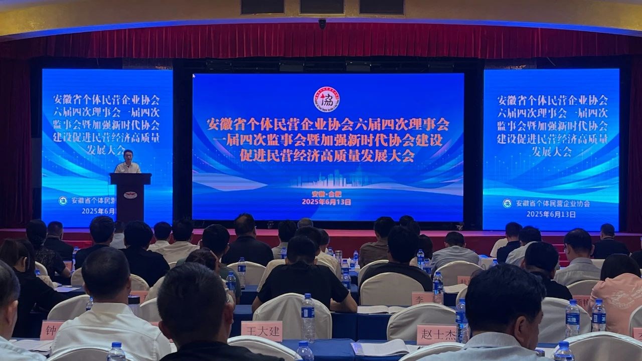 安徽省个体民营企业协会六界四次理事会召开，，省个协副会长单位凯时尊龙智能科技集团董事长高逢满应邀出席会议